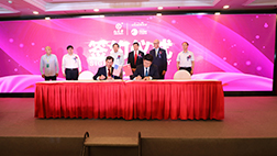 Bet·365(亚洲)唯一官方网站