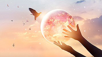 Bet��365(����)Ψһ�ٷ���վ